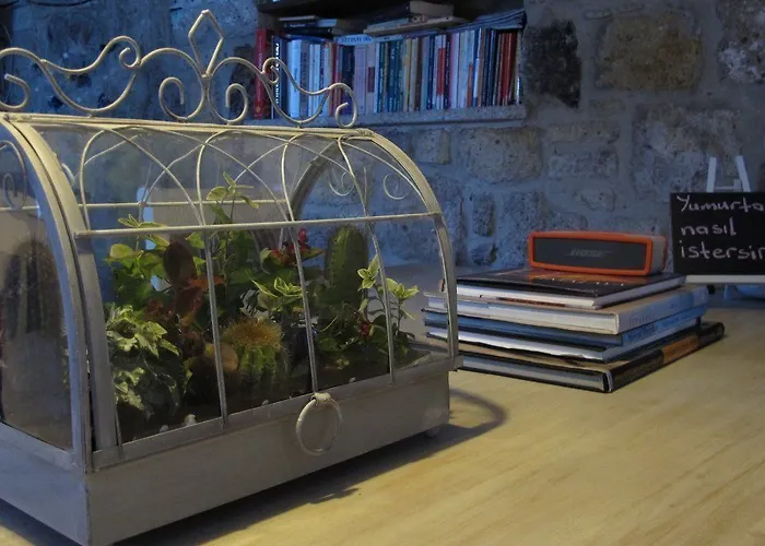 Мини-отель Masala